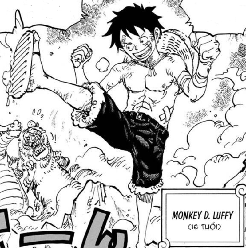 one piece chap 1101 1 jpg