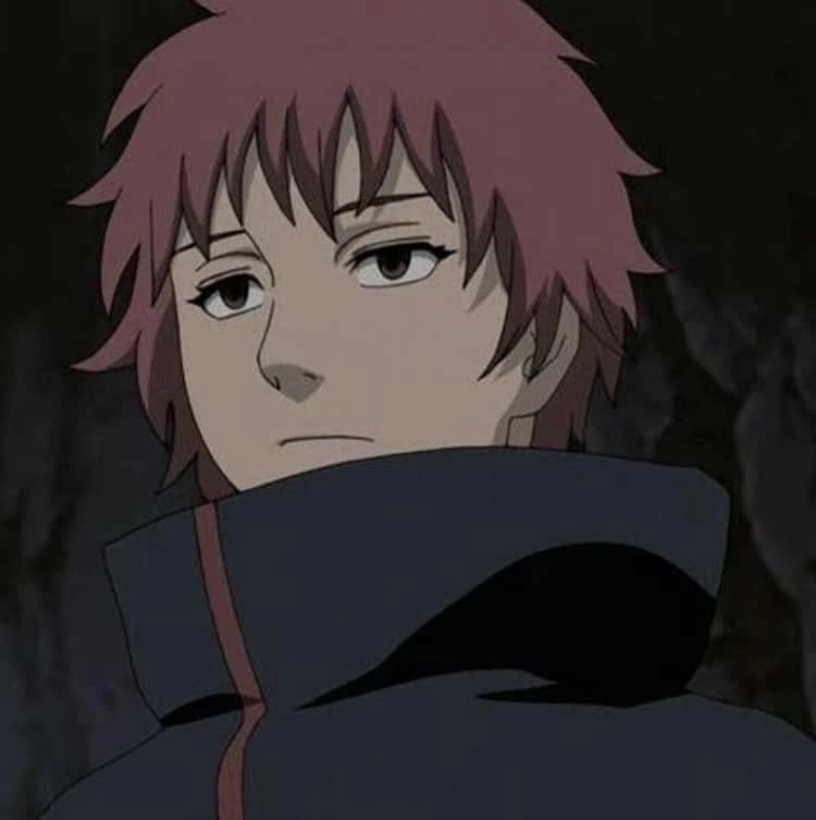 sasori 1 jpg